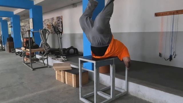 reverse back extension 25x200kg смотреть онлайн
