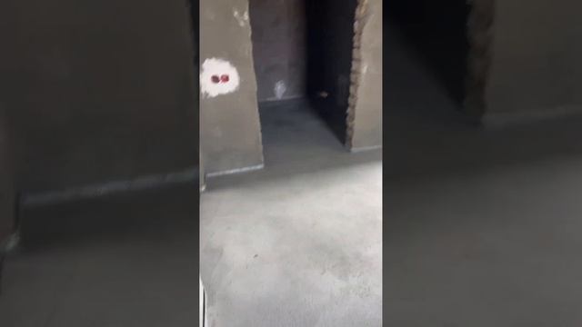 Тёплый пол сантехника иш жараёнидан видео лавха Объект Ипакчилик 2-видео Тел: 93-566-66-46 смотреть онлайн