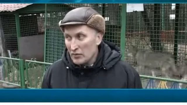 dnepr. info zoopark смотреть онлайн