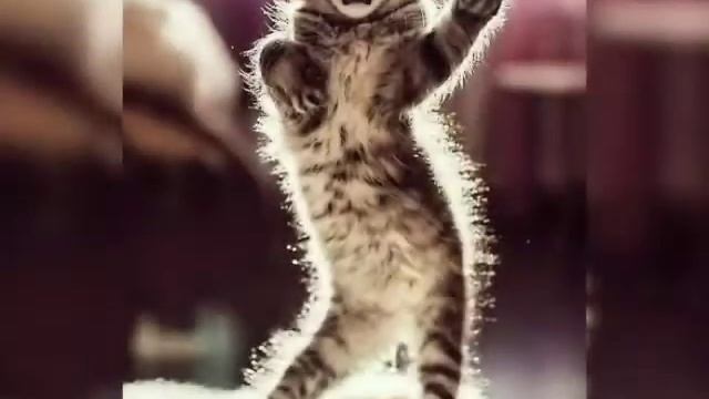 Отрывак из песни Холодок смотреть онлайн