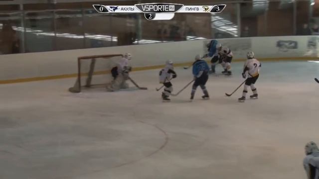 Серебряные Акулы - Пингвины (17.04.16) смотреть онлайн