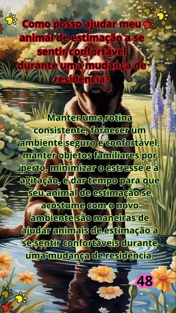 48🐾"Desvendando o Mundo dos Pets: 50 Perguntas e Respostas Incríveis!"🐾 #quiz #amorporanimais смотреть онлайн