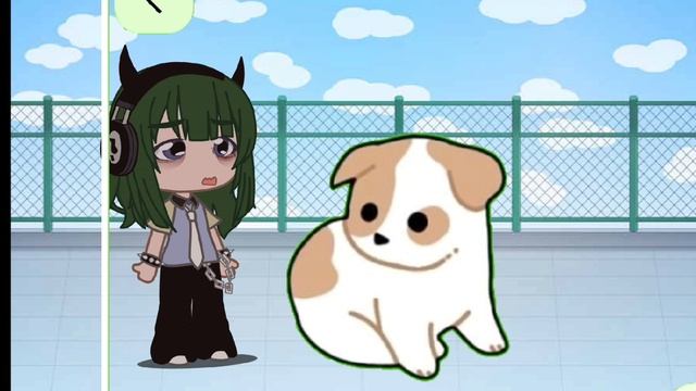 мои любимые вещички))