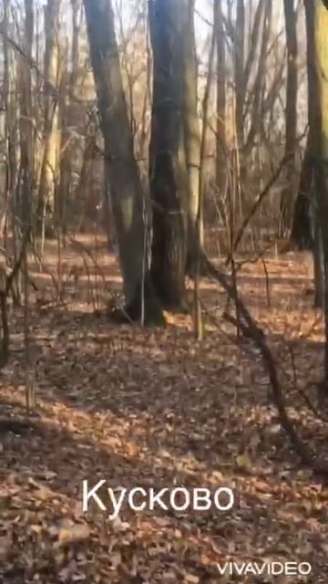 музей-усадьба. Кусково. смотреть онлайн