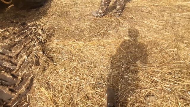 утопили кировец,тащили к701,дт75,к700