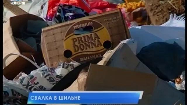 Очередная свалка в Шильне смотреть онлайн