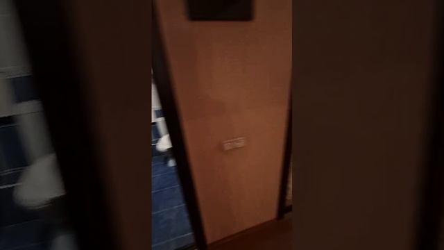 WhatsApp Video 2025-04-22 At 14.39.43