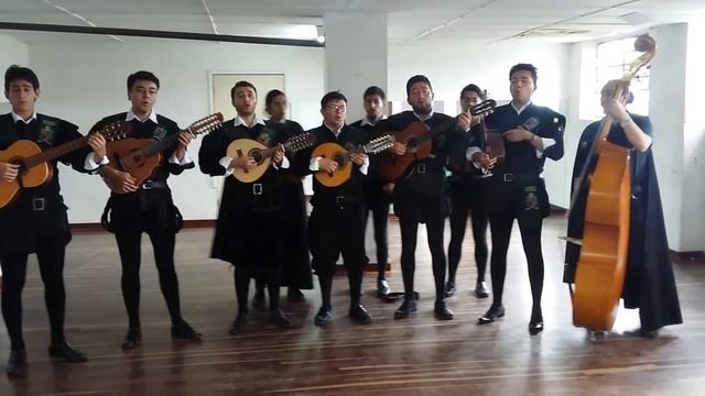 Amor eterno - Tuna Universitaria de la Universidad Nacional de Colombia смотреть онлайн