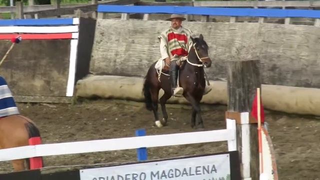 Primera Serie Libre Rodeo Club La Junta, 27 y 28 noviembre 2021 смотреть онлайн