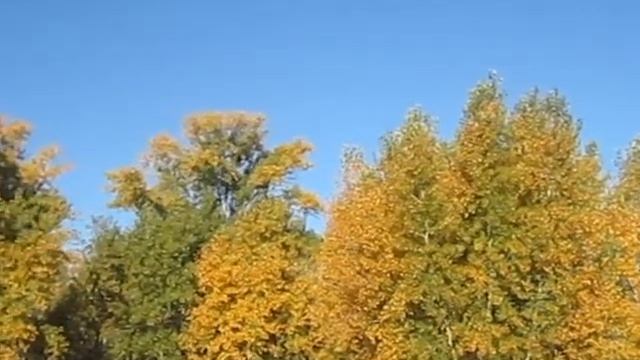 Снова осень смотреть онлайн