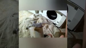 Если не чистить фильтр стиральной машины...