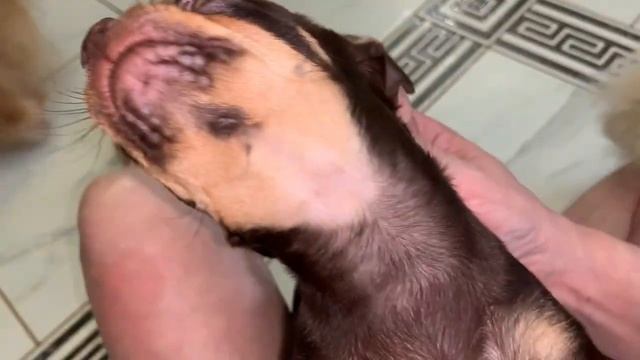 Всем наидобрейшего утречка и замечательного весеннего дня. смотреть онлайн