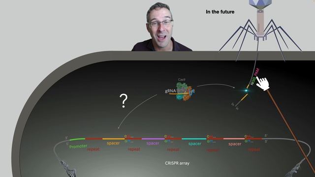 Understanding CRISPR-Cas9 смотреть онлайн