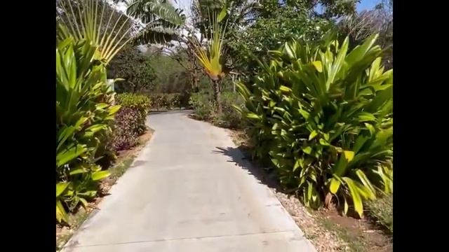Meliá Zanzibar - Hotel overview смотреть онлайн