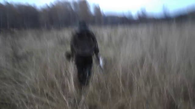 Клад найден! Идем домой..) смотреть онлайн