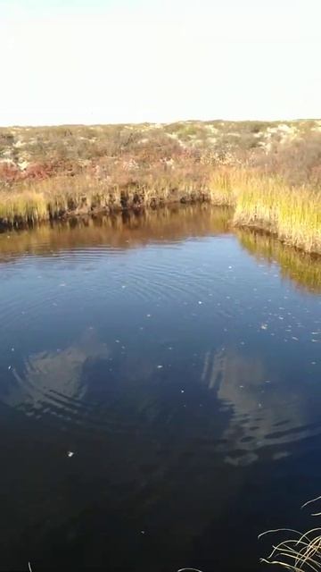 рыбалка в новом уренгое смотреть онлайн