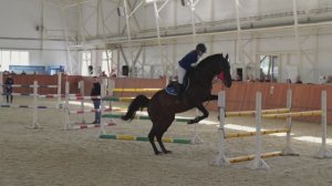 Выступление на соревнованиях по конкуру