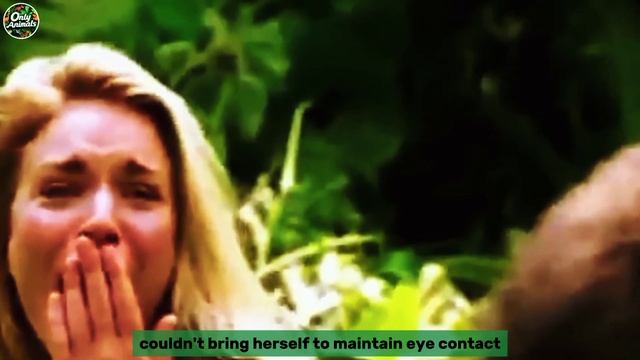 This Story Shocks The Whole World! This is What A Gorilla Does To A Tourist In The Jungle! смотреть онлайн