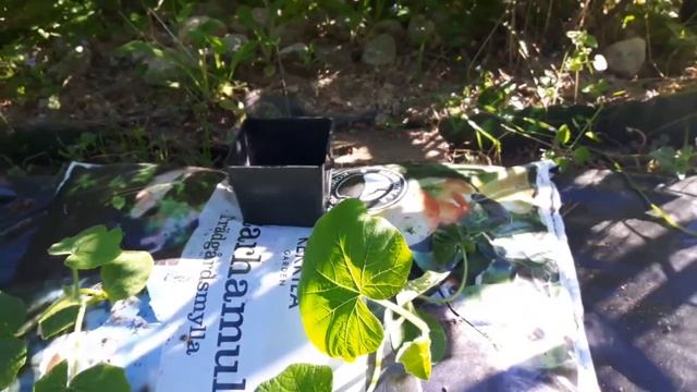 Watering squash in a grow bag (Ingenious) смотреть онлайн