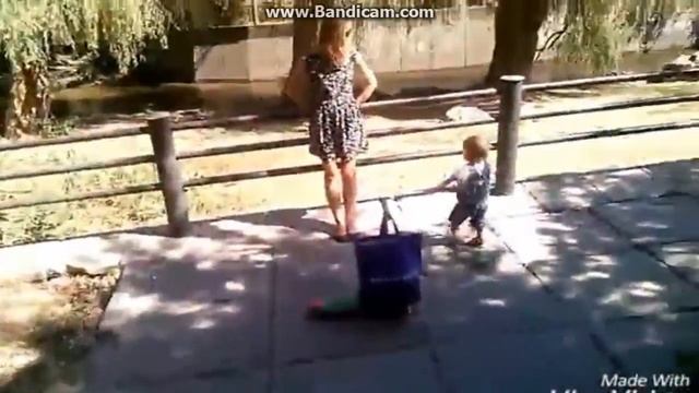 /VIOG/ Кошачий сыщик? Пытаюсь погладить котиков с: смотреть онлайн