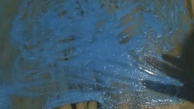 how to clean old ,dirty marble floor| मार्बल कैसे साफ करें | how to clean marble naturally| смотреть онлайн