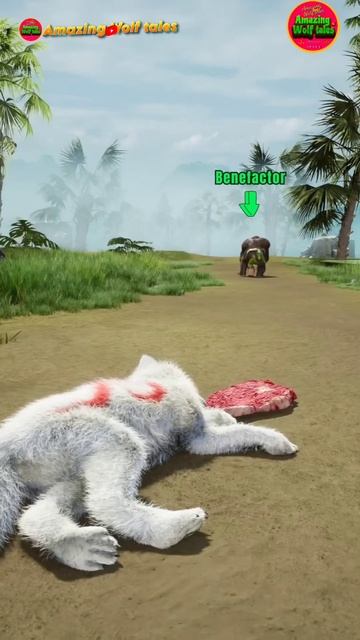 friendship between wolf and gorilla |भेड़िया और गोरिल्ला के बीच दोस्ती |🐺🦍🥶|wolfgame #wolf #shorts смотреть онлайн