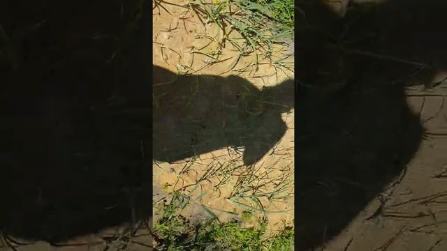 Бой продолжается... смотреть онлайн