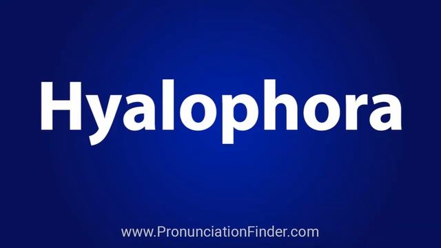 How To Pronounce Hyalophora смотреть онлайн