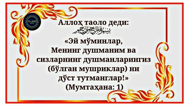 1/ Фиқҳул муяссар/ Таҳорат китоби | Устоз Абу Муовия Ҳафизаҳуллоҳ | Fiqhul muyassar tahorat kitobi смотреть онлайн