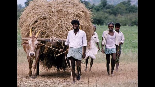 Satellite Imagery Can Aid Development Projects