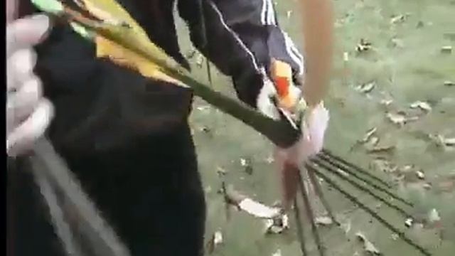 Методика скоростной стрельбы из лука смотреть онлайн