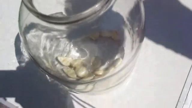 Огурцы как бочковые (холодной водой, без уксуса!) 2 способа в банках! смотреть онлайн