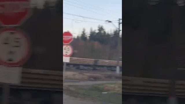 3ЭС4К-???на переезде Осельки #train_rus #ржд #хаюхай_play #поезд #trainz_top #жд #грузовойсостав смотреть онлайн