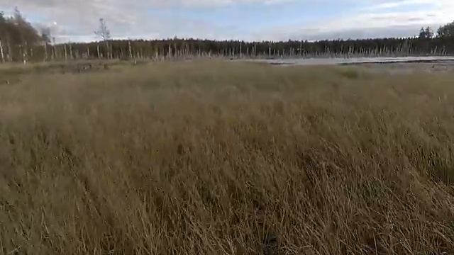 Открытие охоты на утку осень 2020 (продолжение) смотреть онлайн