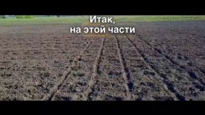 А что будет если посеять гибрид подсолнечника F2? Не посеем – не узнаем.