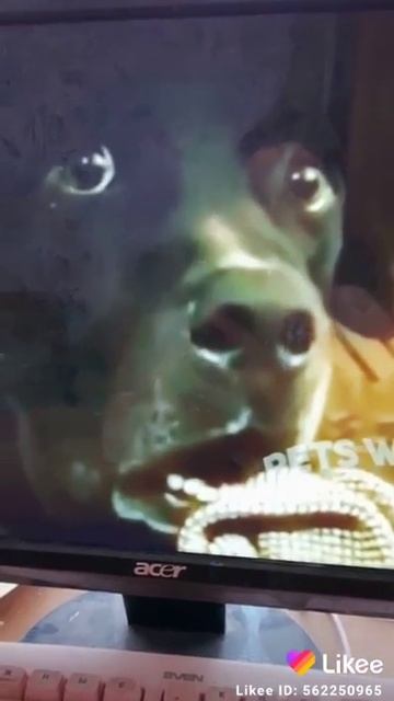 Джек в шоке😬😳😳😳😧😧😧 смотреть онлайн