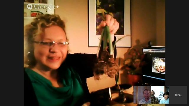 Garden Chatter #4: Bulbs смотреть онлайн