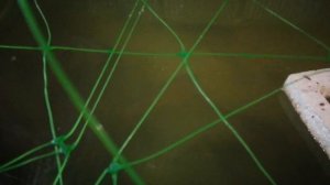 Выращивание карпа в узв. Применение озона в узв.