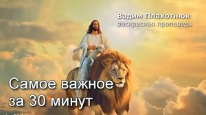 Вадим Плахотнюк_ Самое важное за 30 минут