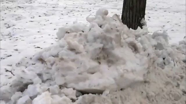 Белка в Парке Горького (Москва) смотреть онлайн