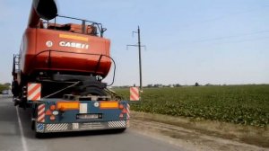 Перевозка комбайнов Case | Transportation of Case combines