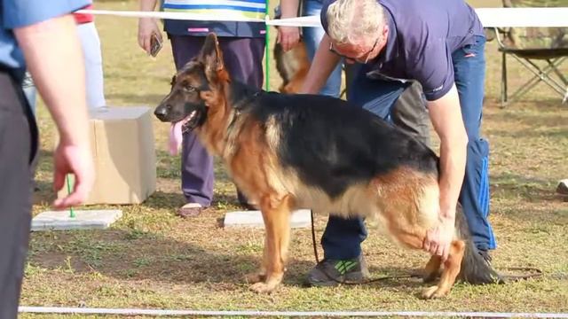 3 ОХ, ЮСС УРАГАН РИЧАРД КЧК Ульяновск 22.09.18. Юниоры смотреть онлайн