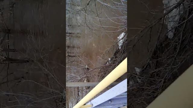 река Ольховка. Паводок-2017. 17.04.2017г. смотреть онлайн