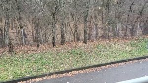 Тропикана Парк Отель Химки