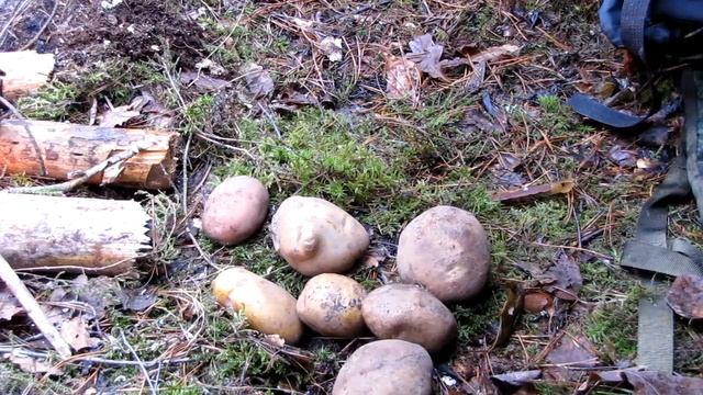 Бушкрафт| Одиночный поход| Строительство укрытия| Приготовление пищи| Bushcraft| Single Trip  Trave