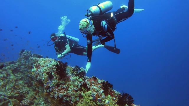 Топовые места для дайвинга на Мальдивах #океан #marine #ocean #scubadiving #путешествия #maldives