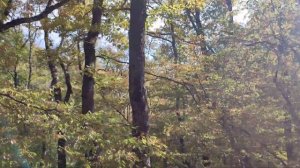 Поселок Научный Крым