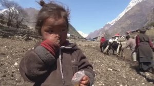 Жизнь в деревне в Тибете высоко в Гималаях. Жизнь в горах