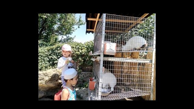 Последние дни летнего лагеря "Счастливые дни" смотреть онлайн