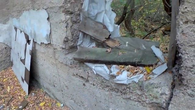 Путешествие в забытый поселок. Мы попали в джунгли! смотреть онлайн